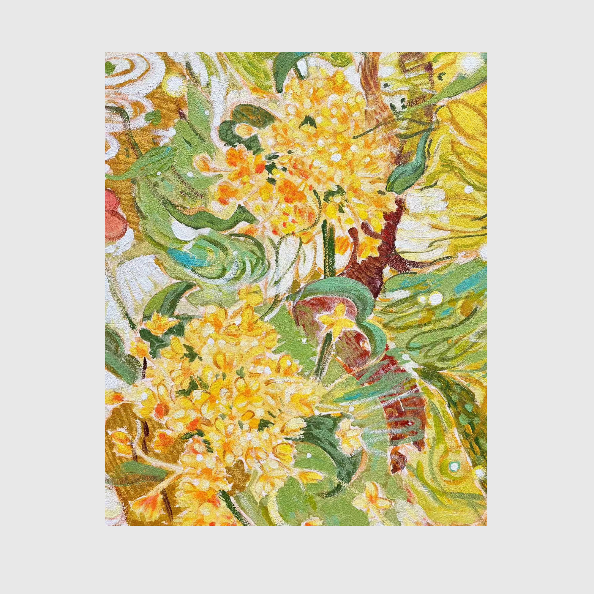 Osmanthus