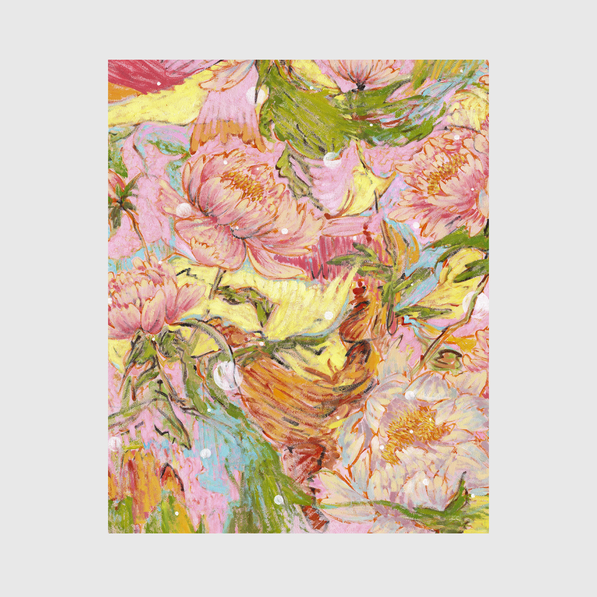 Paeonia