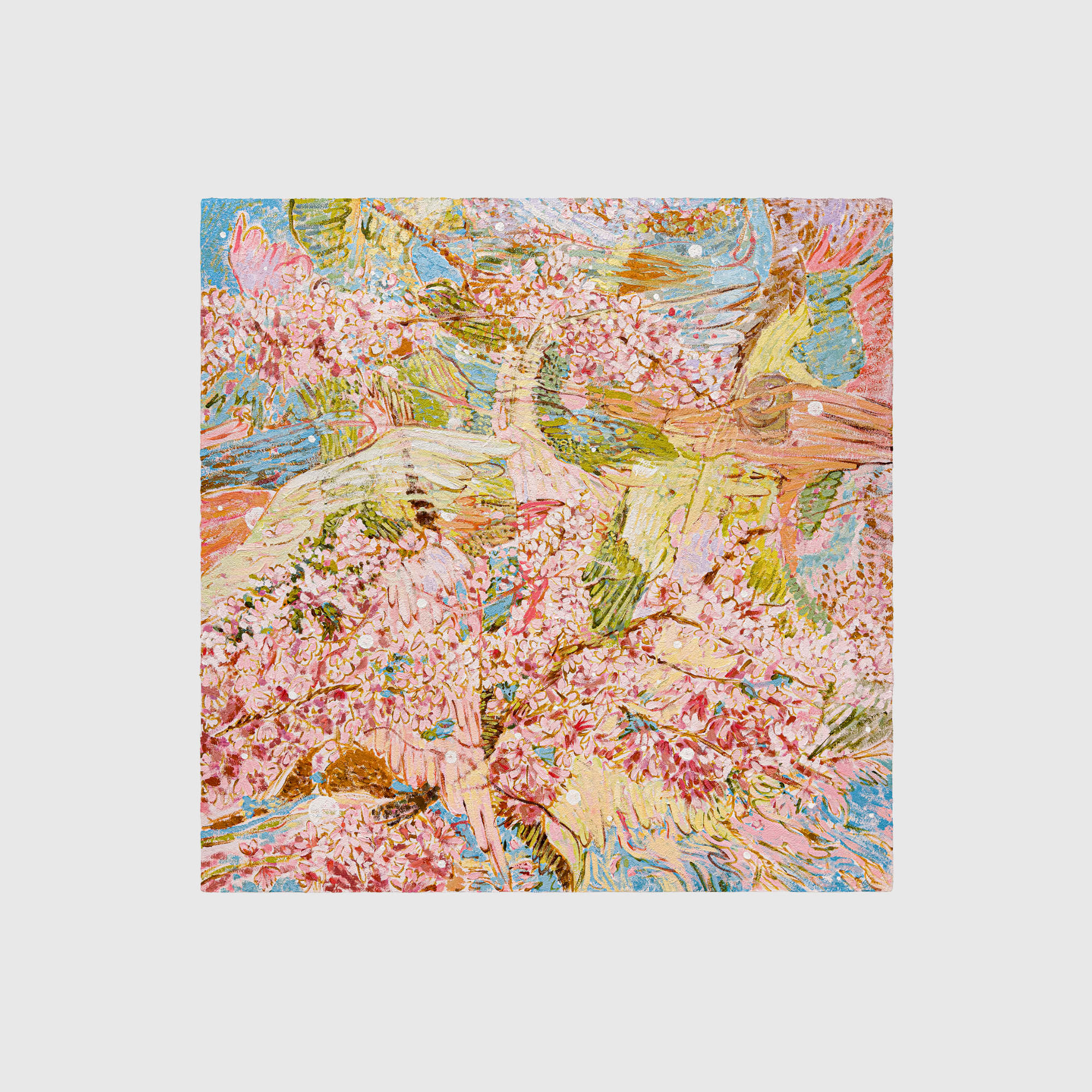Cherry Blossom